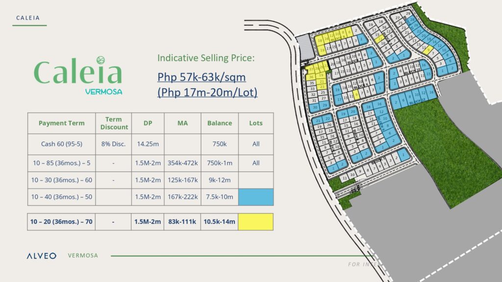 Caleia Vermosa residential lot for sale by Alveo Land